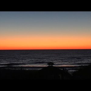 Meet your Posher, Marni